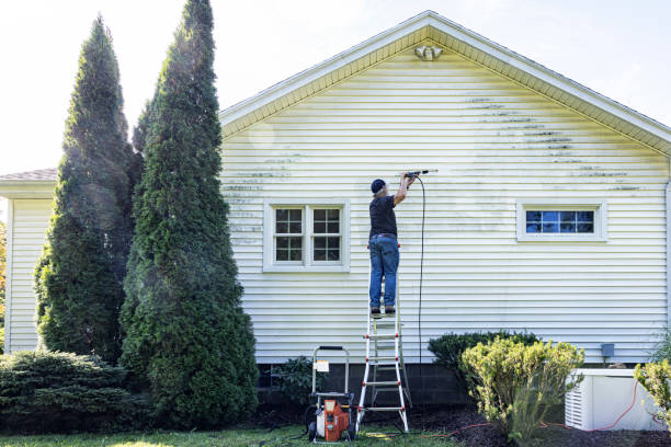 Professional Pressure Washing in Mulberry, FL